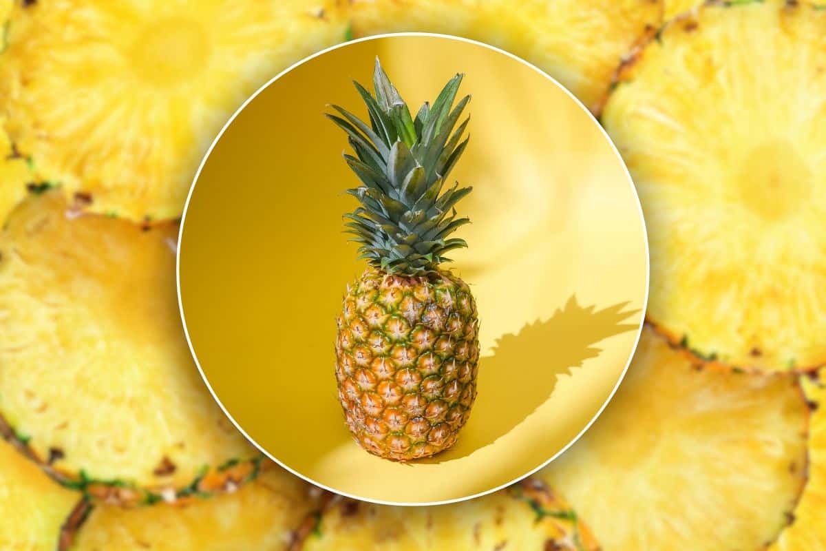 Non gettare le bucce di ananas